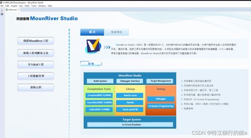 浅谈 risc v 软件开发生态之 ide